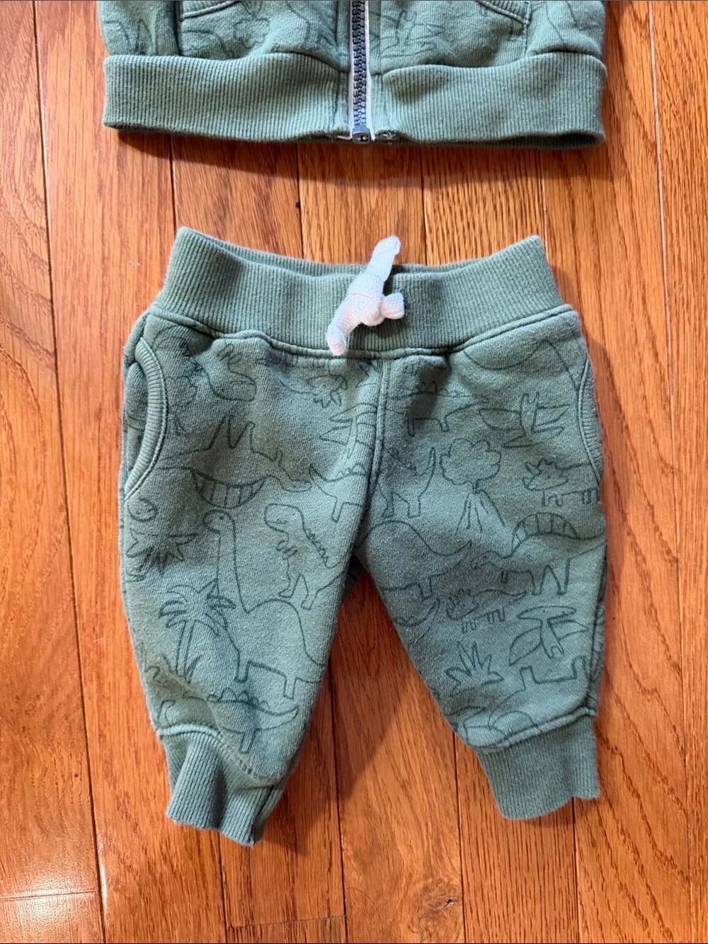 3M Green Dino Hoodie & Jogger Set